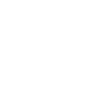Biberon Food Solin Logo